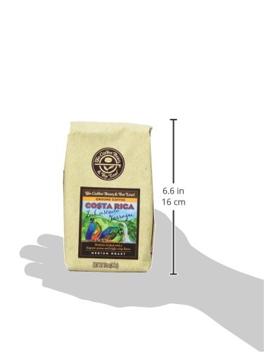 The Coffee Bean & Tea Leaf, Hand-Roasted Costa Rica Ground Coffee, 12-Ounce Bags (Pack of 2) - Thumbnail 3