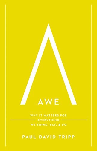 Awe: Why It Matters for Everything We Think, Say, and Do