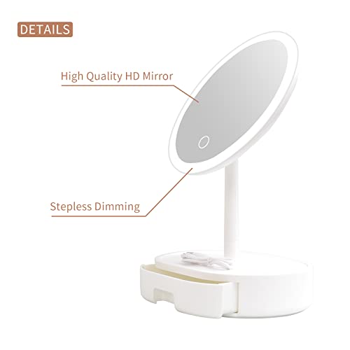 Buy Led Lighted Makeup Mirrors with Accessories Storage Box and Lights