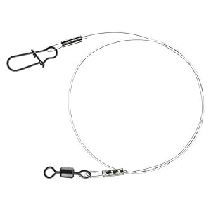 Daiwa Bas De Ligne Fluorocarbone Prorex Fc Leader – 30cm – 0,70mm – 22kg – Transparent
