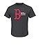 VF LSG MLB Boston Red Sox Men's This is My Team Tee, Large, Charcoal Heather