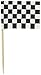 Beistle Checkered Flag Party Picks