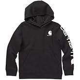 Carhartt Little Big Boys' Long-Sleeve Hooded Graphic Sweatshirt, Caviar Black, Youth Small 8/10