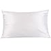 OOSILK Mulberry Silk Pillowcase with Hidden Zipper 19mm,Cotton Underside, Queen (20in * 30in) White