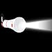 Yaping Outdoor and Indoor Portable LED Tent Light Lamp Lantern for Hiking,Camping,Emergencies,Home (White Pack of 2)