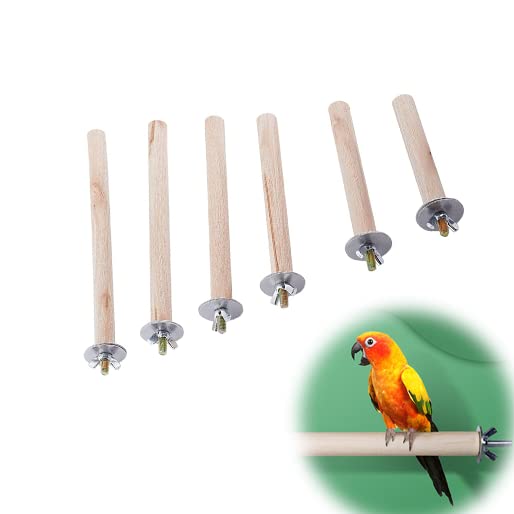 Vokowin 6 Pcs Parakeet Perch Bird Stand, Natural Wood Platform Cage Accessories for Parakeets & Cockatiels, Bird Parrot Perch Stand Set, Logs Wood Paw Grinding (K198-6)
