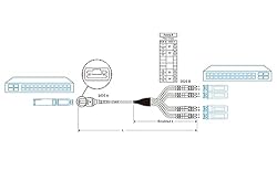 10Gtek Fiber Optic Cable Patch Cord - MPO to 8X LC