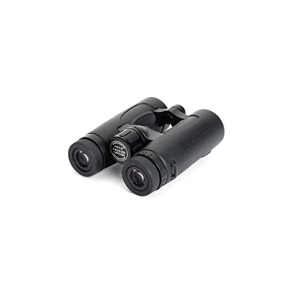 Celestron 71370 Granite 9 x 33 Dachkant Fernglas – Bild 3