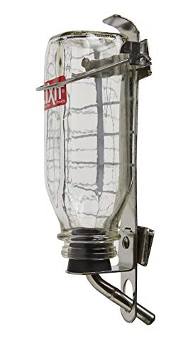 Lixit Glass Tube Water Bottle for Birds, Dogs, and Small Pets, Medium Tube, 16 Oz, Medium Tube