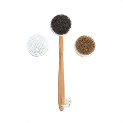 Cristalbox 3 in 1 Best Body Bath Brush, Improves Skin`s Health and Beauty, Great for Cellulite, Exfoliating, and Dry Skin removal, 1 Horse Hair(Hard), 1 Boar Bristles(medium),1 Nanofiber Hair(Soft)