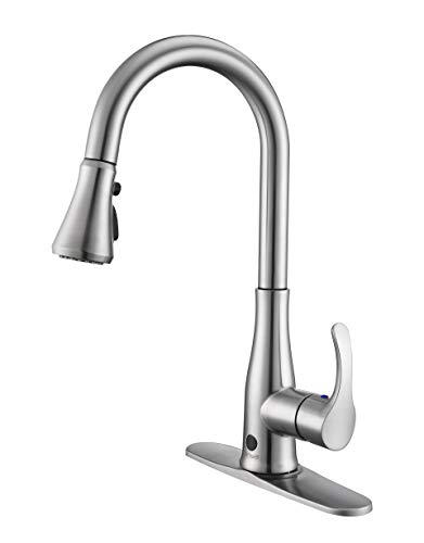 Esnbia Kitchen Faucet Touchless Kitchen Sink Faucet With Pull
