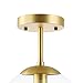 Light Society Zeno Globe Semi Flush Mount Ceiling Light, Clear Glass with Brass Finish, Contemporary Mid Century Modern Style Lighting Fixture (LS-C176-BRS-CLR)