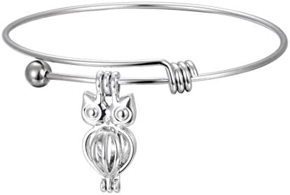 1 Pieces Owl Ball Closure Expandable Stainless Steel Wire Bangle Bracelet Blanks for DIY Jewelry Making (Style #5 Owl)