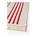 IKEA Flatwoven Cotton Area Rug Color Stripes, Machine Washable Kitchen Door Mat Runner (2, Gray Stripe)