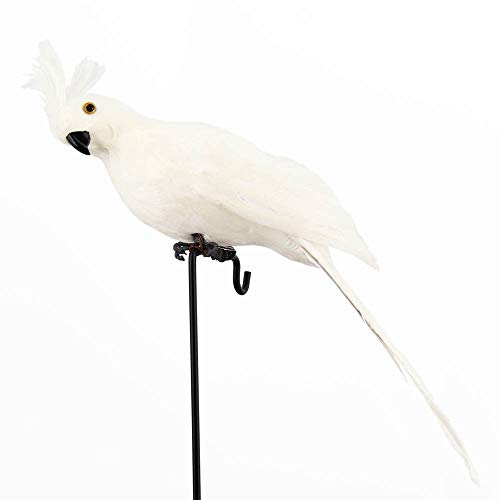 Oral Dentistry Realistic Parrot with Artificial Bird Feathered Decoration Ornament Birds Imitation Animal Model Outdoor Garden Lawn Tree Decor (White)