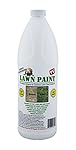 Lawn Paint Concentrate Lawn Paint, Covers up to 1,000 sq. ft.