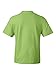 Hanes mens 5180 fashion t shirts, Lime, XX-Large US