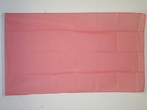 AZ FLAG, Plain Pink Flag, Large 5x8 Ft, 100D Polyester Pink Solid Color Big Banner with Two Metal Grommets, Fade Resistant