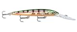 Rapala Down Deep Husky Jerk 10 Fishing Lure