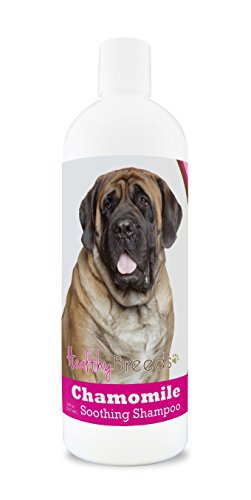 Healthy Breeds Mastiff Chamomile Soothing Dog Shampoo 8 oz
