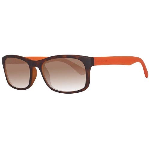 ted baker winslow sunglasses