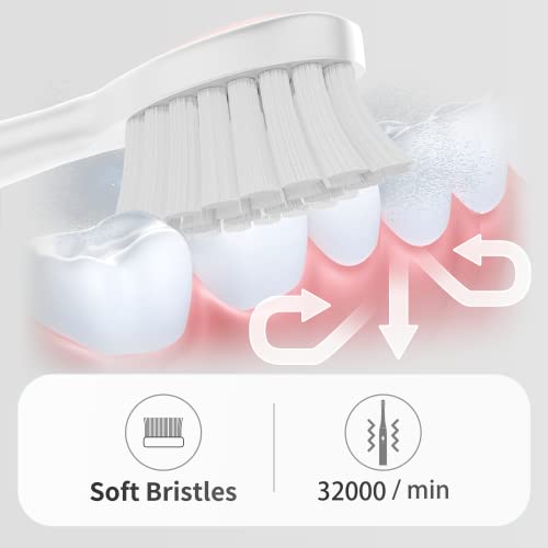 BUBBLE-FLY Two Electric Toothbrushes, Black & White Set Electric Toothbrush, Dual Handle 38000 VPM Electric Toothbrush - 6 Modes with Smart Timer ,Including 12 Dupont Brush Heads,ipx7 Waterproof....