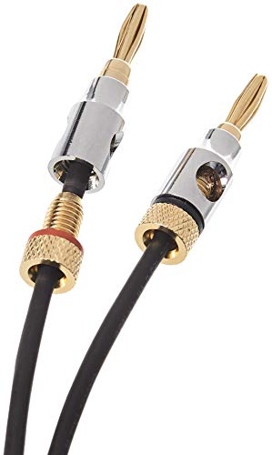 AmazonBasics-Speaker-Cable-with-Gold-Plated-Banana-Tips-CL2-999-Oxygen-Free-6-Foot