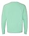 Comfort Colors Ringspun Garment-Dyed Long-Sleeve T-Shirt