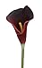 Duovlo 20pcs Calla Lily Bridal Wedding Bouquet Lataex Real Touch Artificial Flower Home Party Decor (Dark Red)