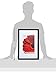 Kiera Grace Modern Gallery Picture-Frames, 8