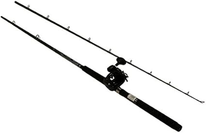 okuma medium heavy action rod