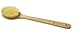 Hydrea London Dry Body Brush Long Handled Exfoliating Skin Brush with Vegan Cactus Bristle, Dry Brush Cellulite Remover, Exfoliating Body Scrubber, Improve Lymphatic Drainage FSC® Certified Beechwood.