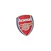 Arsenal FC Official Metal Soccer Crest Pin Badge (One Size) (Red/Gold)