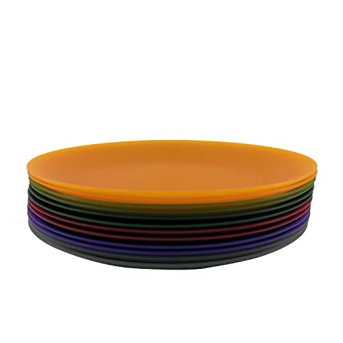 AOYITE Everyday Plastic Reusable Plates BPA Free Dishwasher Safe