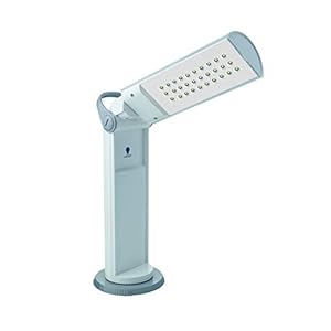 Daylight Twist draagbare ledlamp E35700