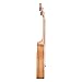 Caramel CC102A 23'' Zebra Wood Concert Acoustic Ukulele Bundle Bag Tuner Set