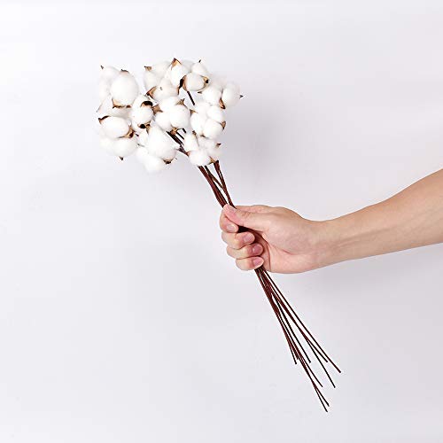 Hagao Cotton Balls with Branch Wreath Decor Cotton Bolls Made of Real Natural Cotton Great for Crafting Farmhouse Style 10 pcs