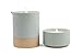 Paddywax Candles Mesa Collection Scented Candle, 3.5-Ounce, Eucalyptus & Sandalwood