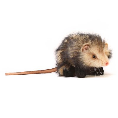 realistic stuffed opossum