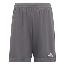 adidas Kids' Entrada 22 Training Shorts, Team Grey