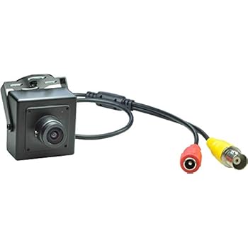 Amazon.com : VideoSecu Indoor Outdoor Bullet Security