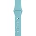 Sunfeiorts Silicone Bracelet Strap Band For Apple Watch 38mm 42mm (Sky Blue, 38mm)