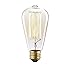 Kiven Vintage Edison Bulb Tungsten Wire - 110 Volts - Dimmable - 230 Lumens -2200K Warm Temperature Antique Light Bulb (60w)