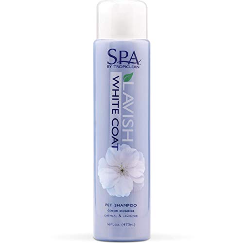 tropiclean face shampoo