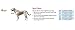 Avery Boaters Dog Parka Bottomland XL