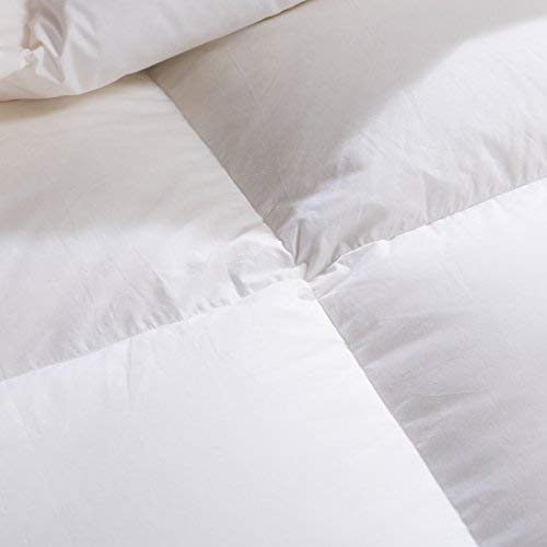 SHEONE All Seasons Lightweight White Goose Down Comforter-650 Fill Power-100% Cotton Shell Down Proof-Solid White Hypo-allergenic Duvet Insert With Tabs (Queen)