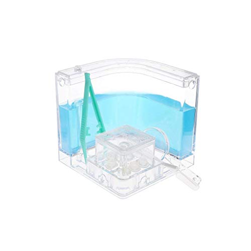 YueYueZou® Ant Factory/Ant Farm