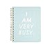 ban.do Design 2016-2017 Large 17 Month Agenda, I Am Very Busy, Ice Blue (60212)