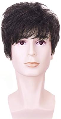 Fashionable Popular Men Wig Short Hair Rose Net High Temperature