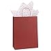 BagDream Gift Bags 10x5x13 Inches 25Pcs Red Stripes Kraft Paper Bags, Shopping Bags, Mechandise Bags, Retail Bags, Party Bags, Paper Gift Bags with Handles, 100% Recycled Paper Bags FSC Compliant